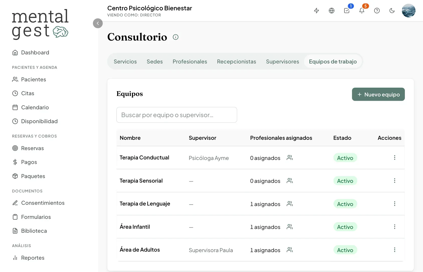 Equipos de trabajo con su supervisor y los profesionales asignados