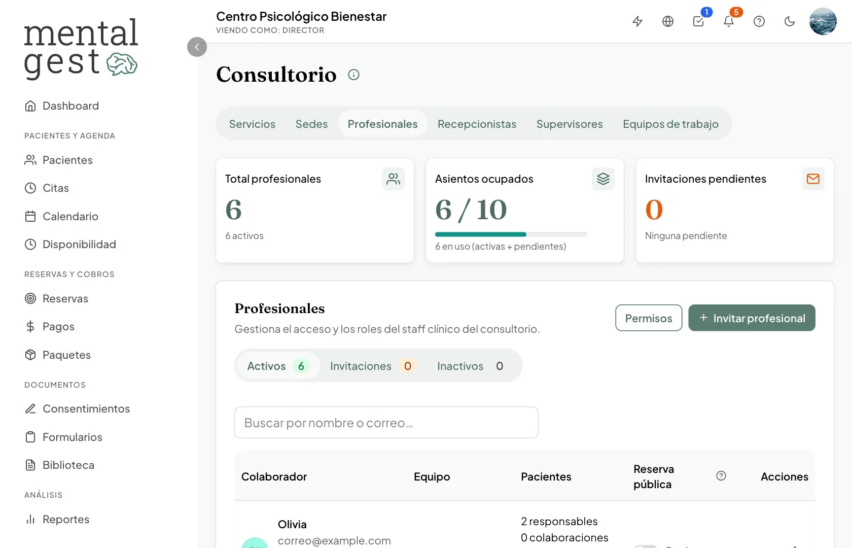 Pestaña Profesionales con los asientos ocupados del plan y el botón Invitar profesional